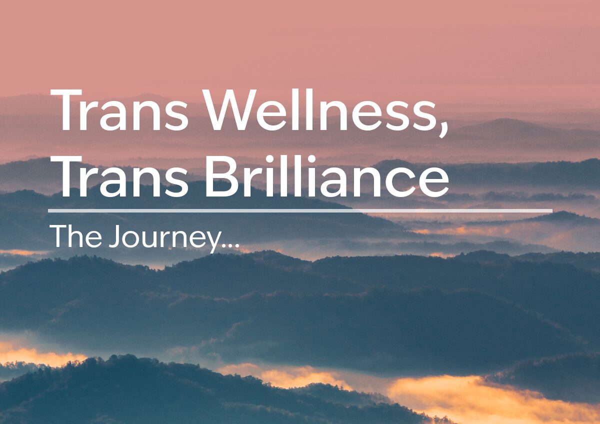 TWTBResized_Flat An image of mountains and a pink sky. Text in white reads, "Trans Wellness, Trans Brilliance" Under the white text, there's a horizontal line. Under the horizontal line, there's more white text that reads, "The Journey..."